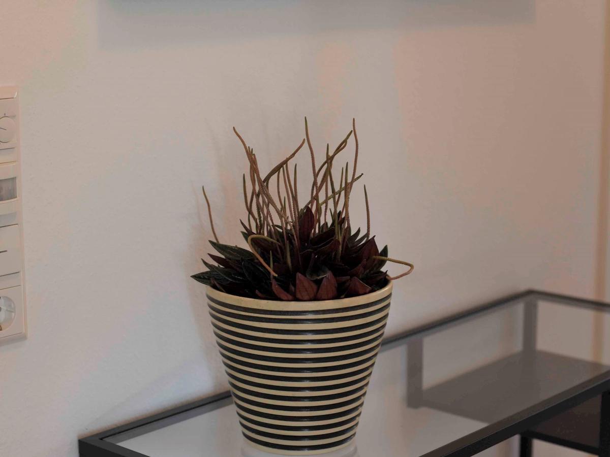 Ferienwohnung Im Weiler Winterlingen ภายนอก รูปภาพ